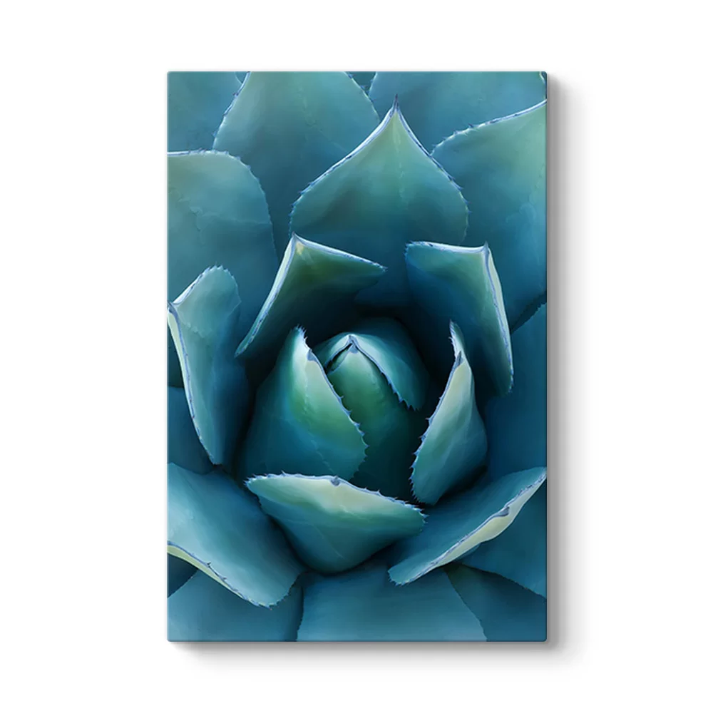 Aloe Vera Kaktüs Kanvas Tablo - Model 2